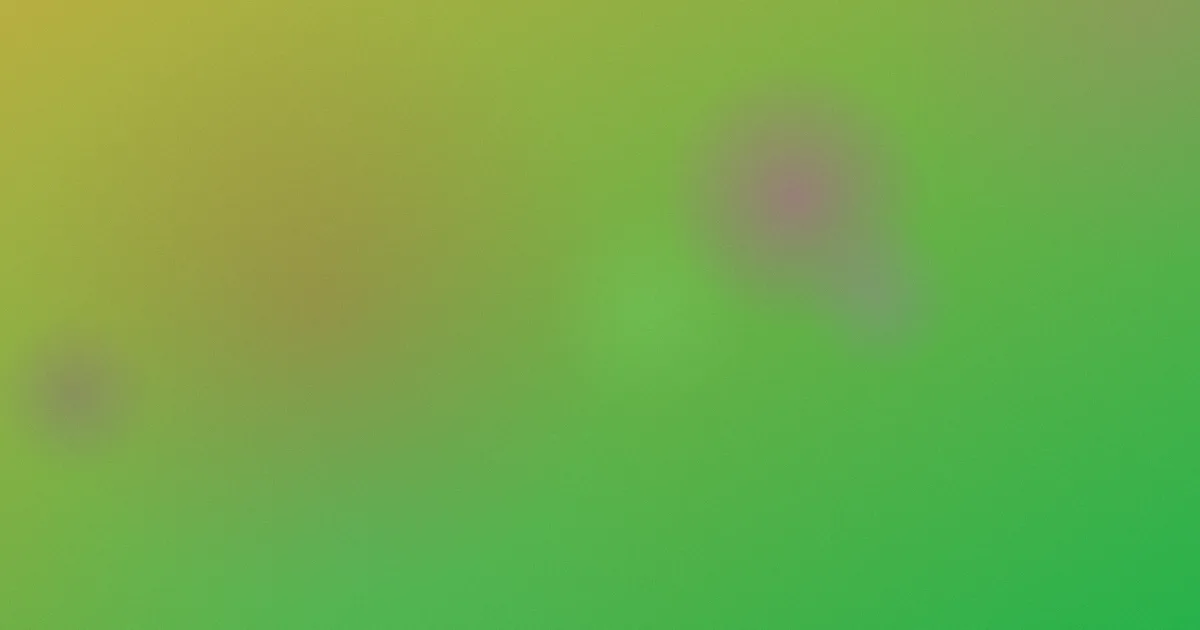 有夫之妇韩国电影怎么用